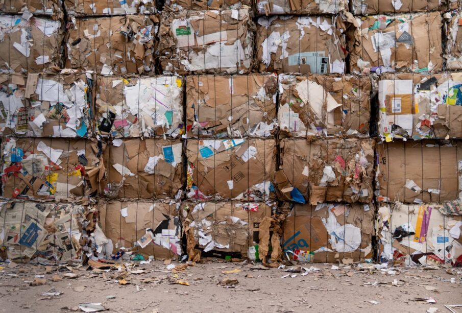 Reciclagem avança no Brasil com novo programa federal 65 RECICLAGEM