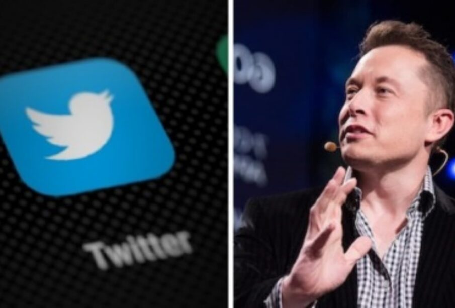 Twitter com novo dono promete ser livre, leve e solto 65 TWITTER