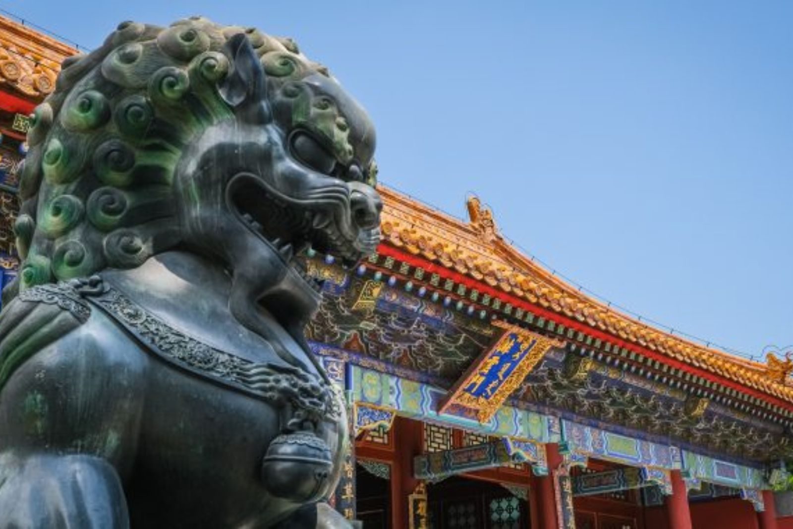 China Covid China Covid