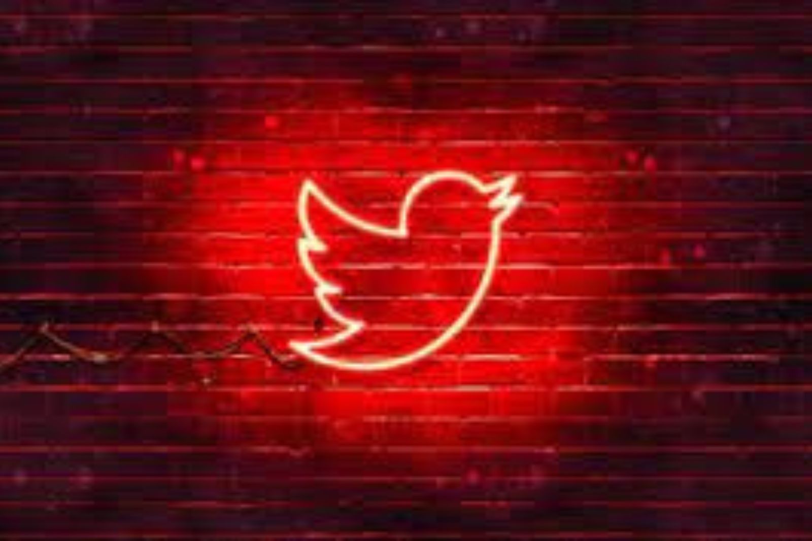 TWITTER PREFERE OS ESQUERDISTAS TWITTER PREFERE OS ESQUERDISTAS