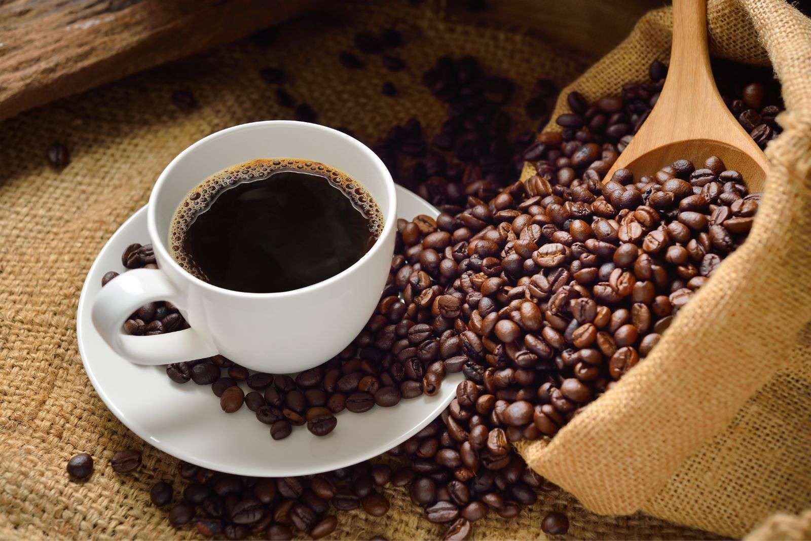 CAFÉ