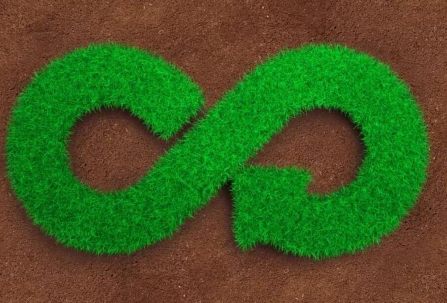 Paraná sanciona Lei de incentivo a economia circular 65 Economia circular Lei Curitiba