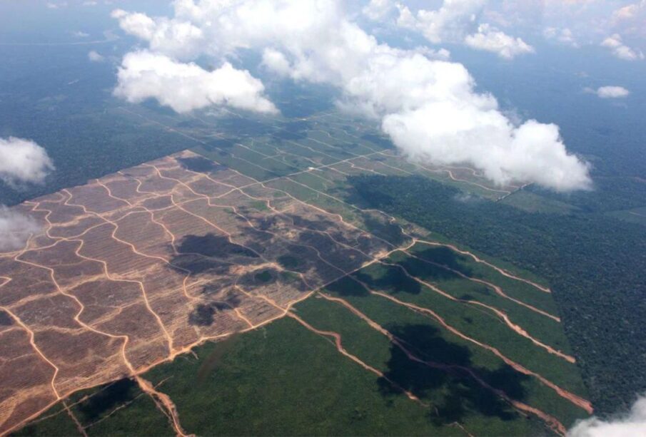 Expansão agrícola e o futuro incerto da Amazônia peruana 65 Expansao agricola Amazonia peruana