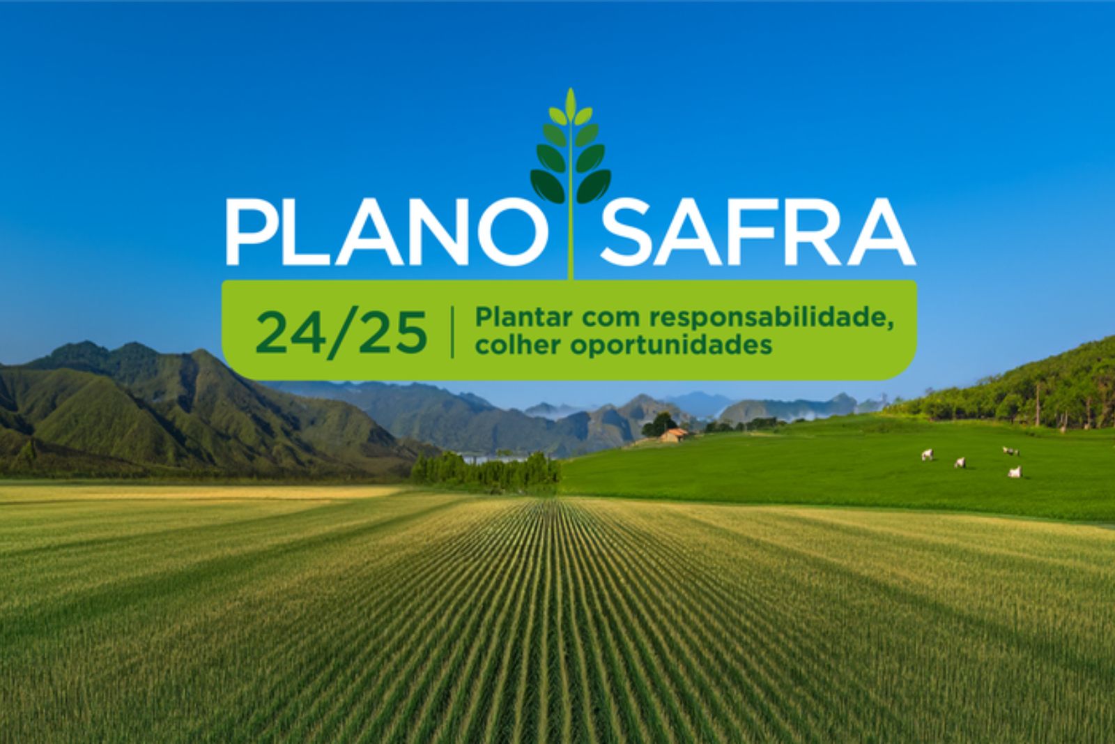 PLANO SAFRA PLANO SAFRA