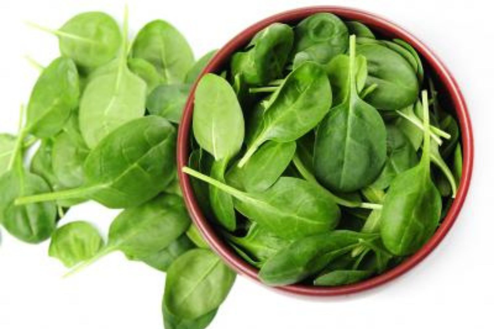 RÚCULA RÚCULA SISTEMA IMUNOLÓGICO