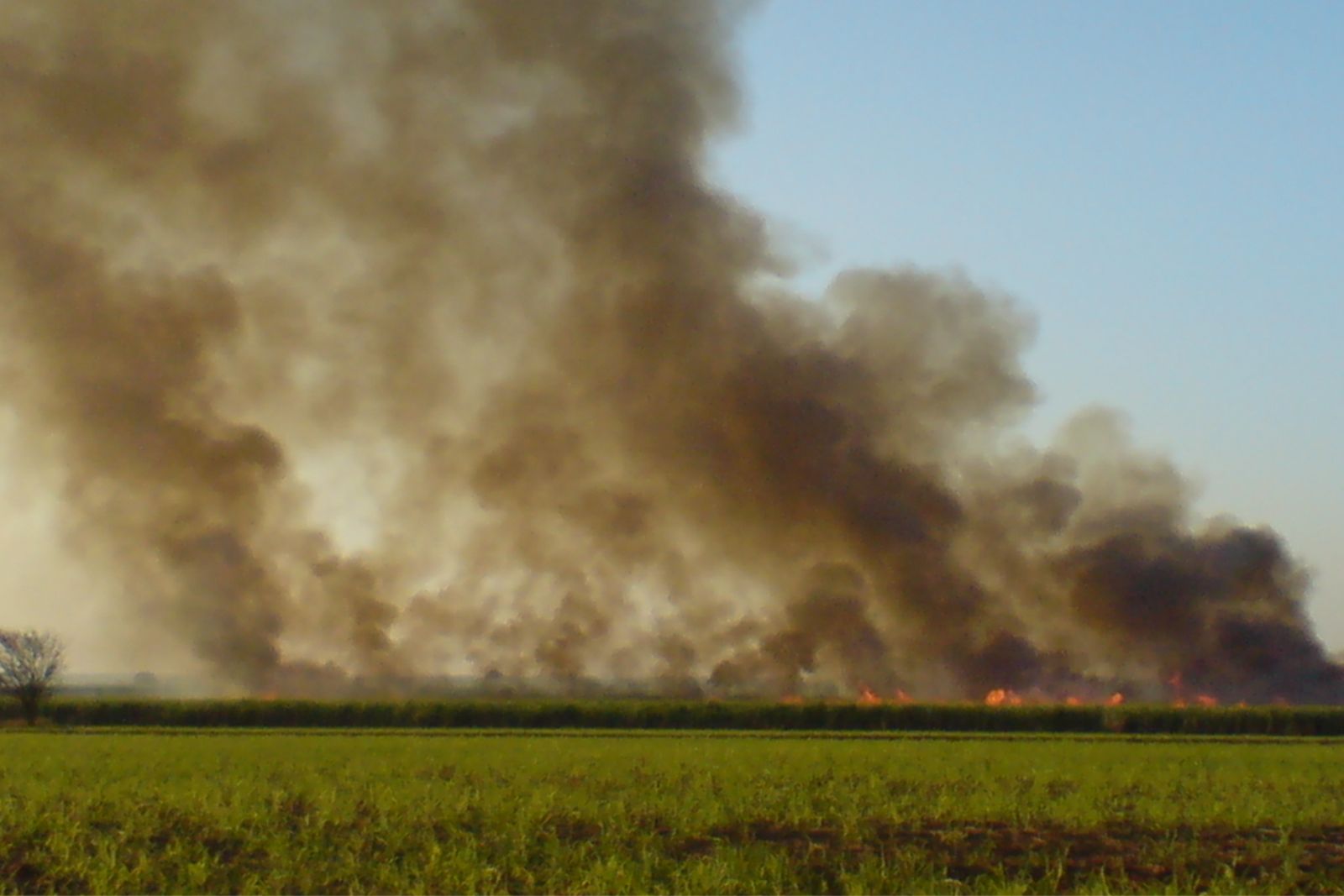 DEVASTAÇÃO DEVASTAÇÃO