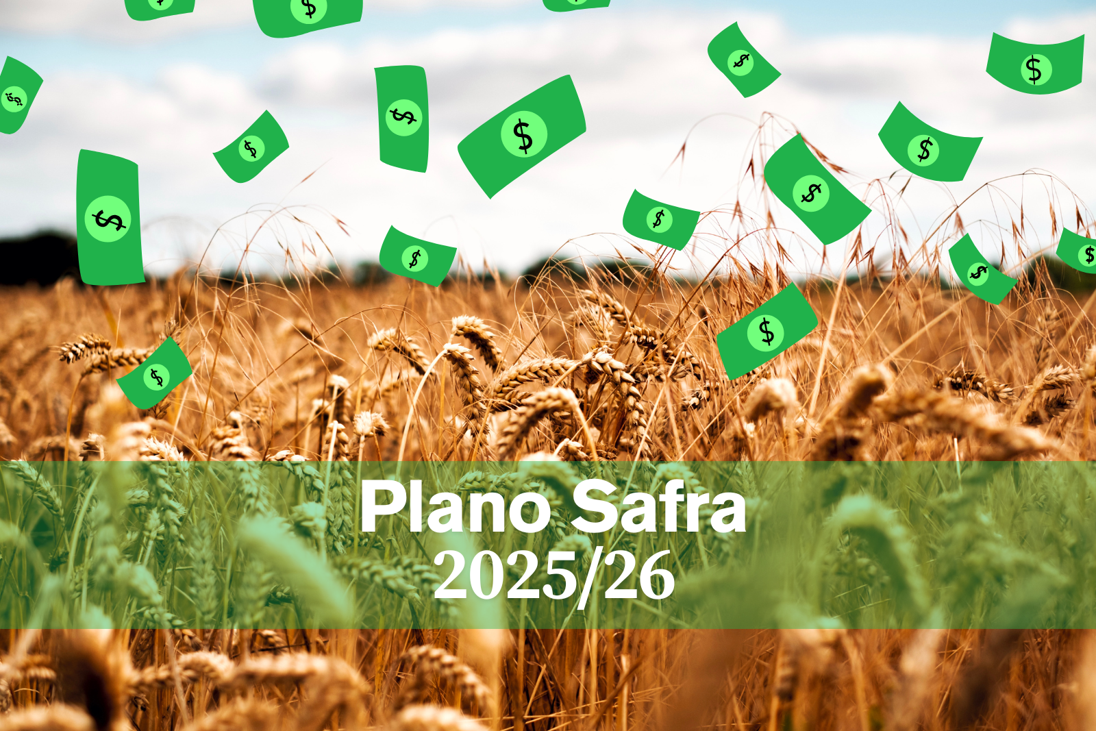 PLANO SAFRA PLANO SAFRA