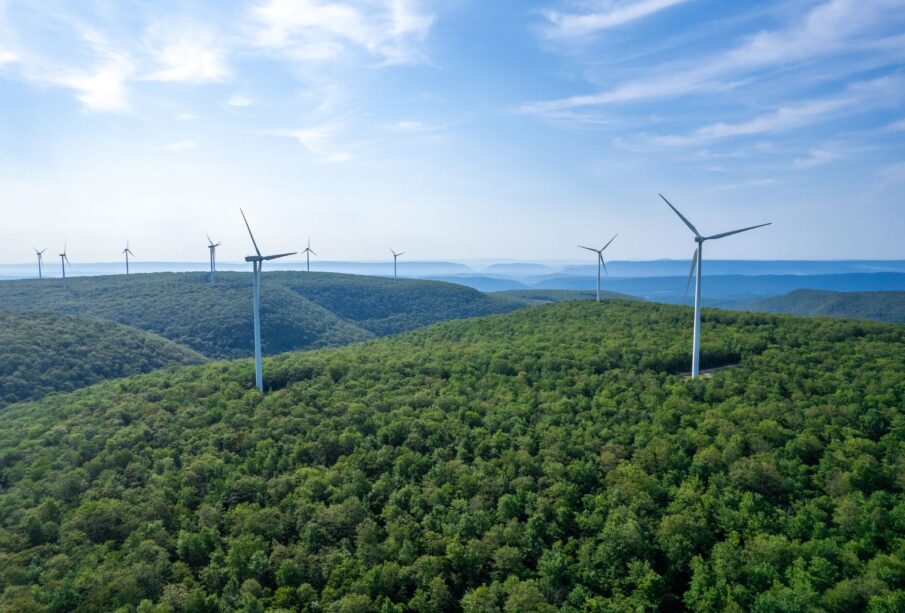 Licenciamento Ambiental: O Futuro da Sustentabilidade no Brasil 65 LICENCIAMENTO