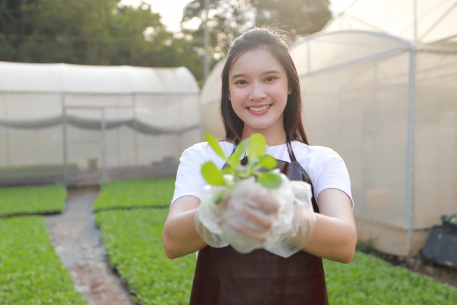 Economia regenerativa