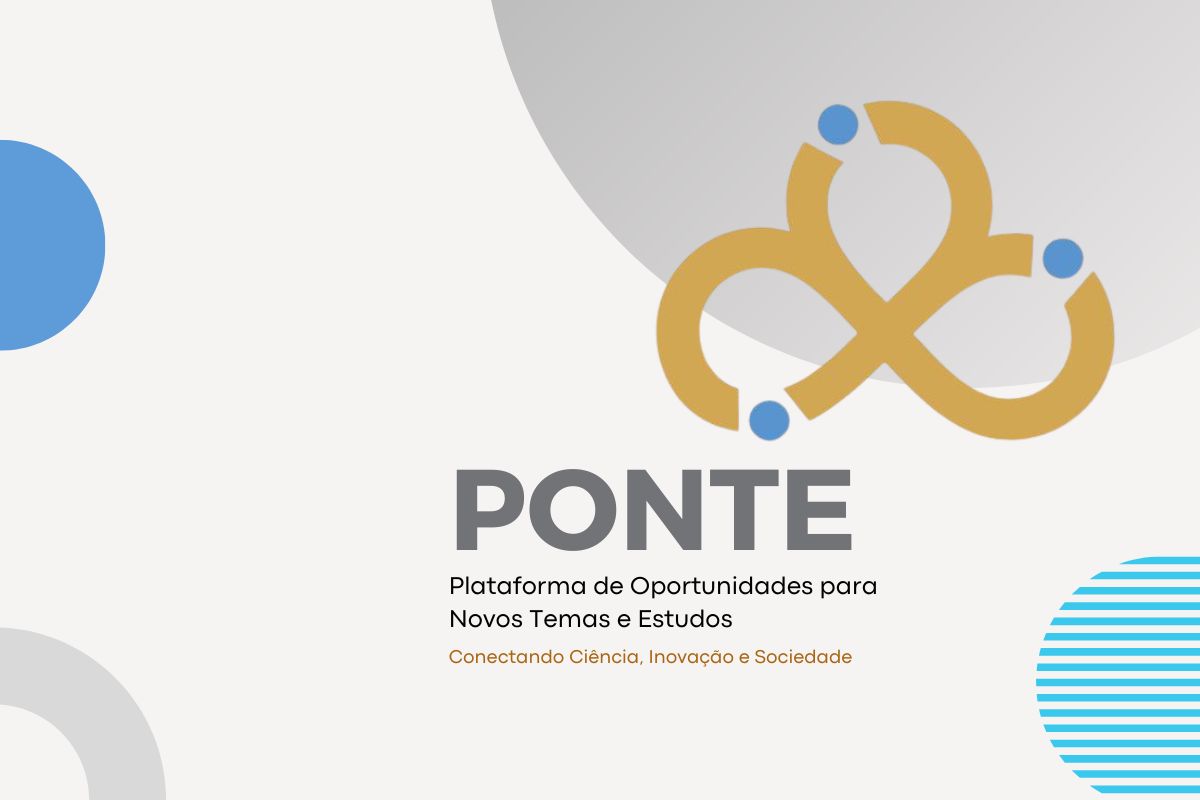PONTE T1E1 PONTE T1E1