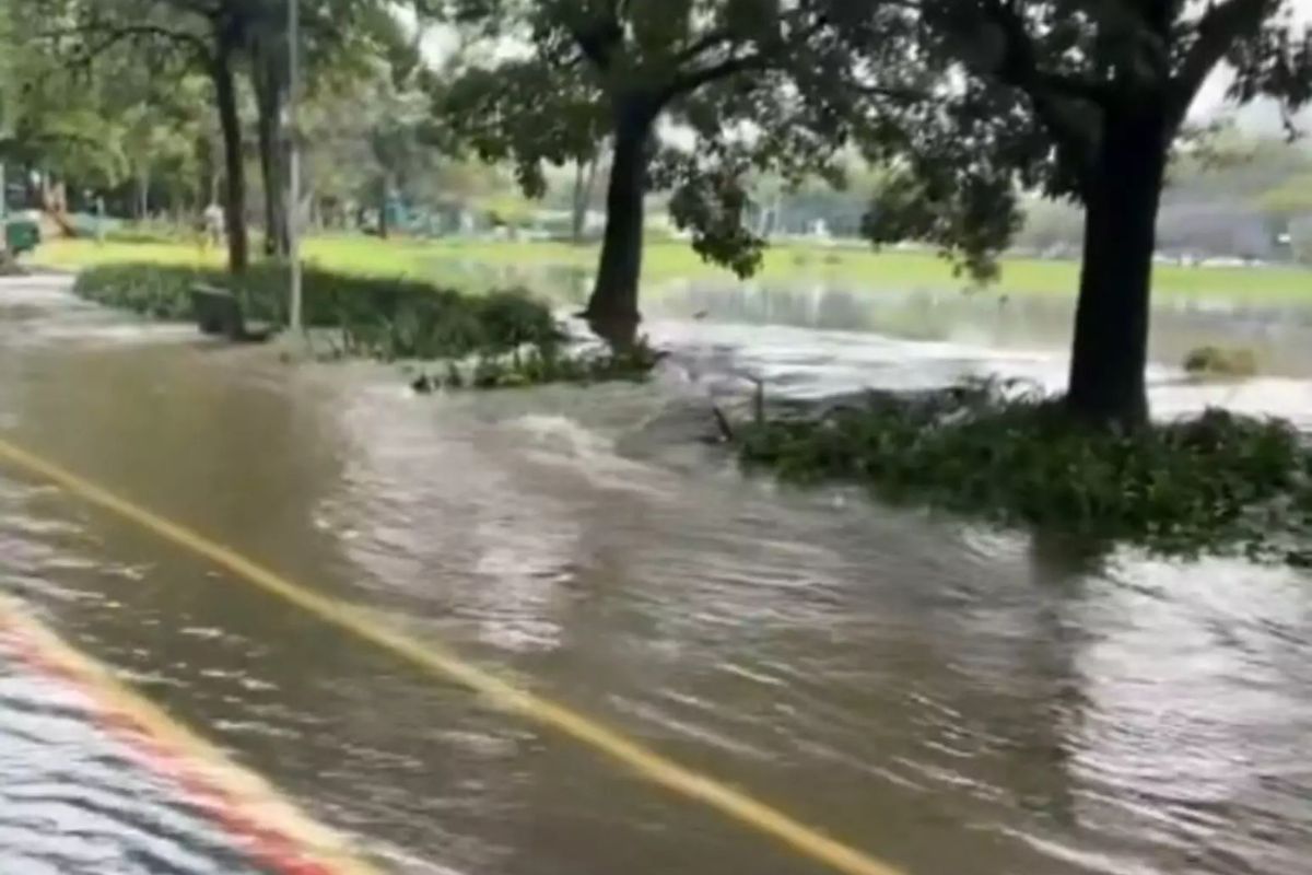 temporal em São Paulo